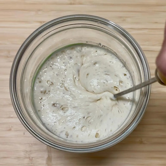 Dutch Sourdough Starter, Dried Culture